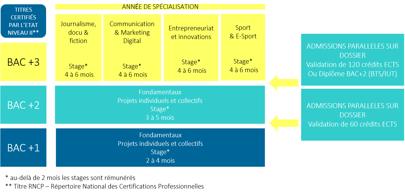 schema cursus W