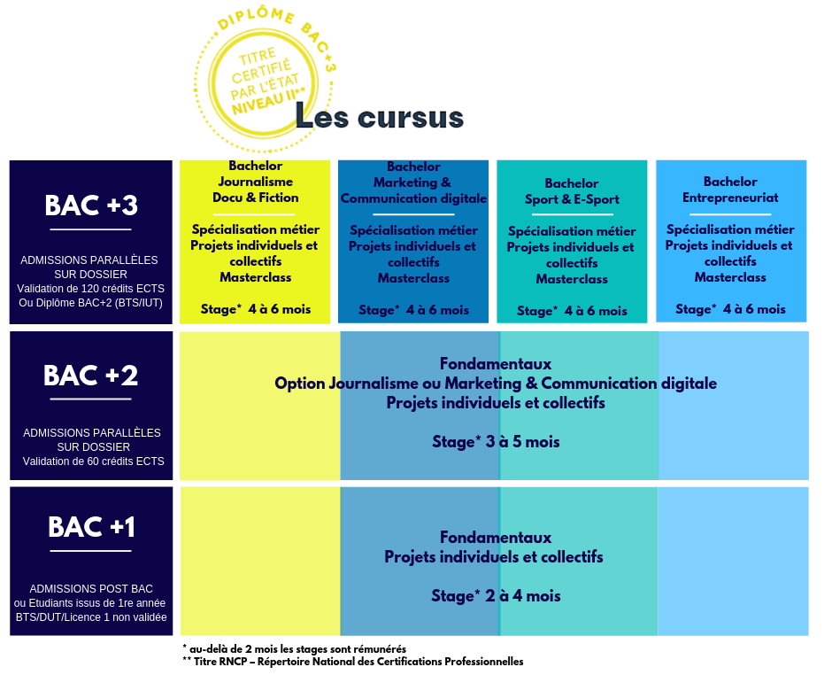 schema cursus W